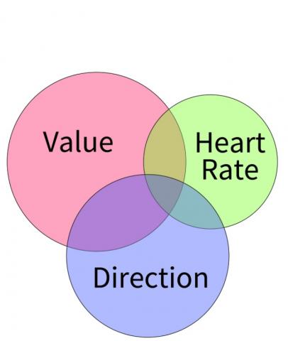 Les cercles « Direction » et « Valeur » représentent les cellules de prise de décision et le « Cercle du cœur » représente les neurones de surveillance du corps (Visuel Rudebeck lab, Mount Sinai, N.Y.)