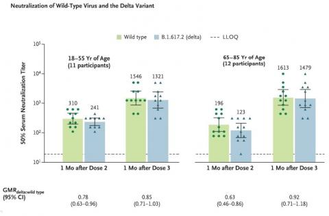 Le niveau de protection 1 mois après la 3è dose est estimé à 85% contre le variant delta  (comme la souche d’origine) chez les jeunes adultes et de 92% chez les adultes plus âgés (Visuel NEJM).