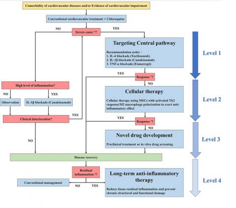 Une sélection de thérapies anti-inflammatoires cardiovasculaires spécifiques pour les patients COVID-19, en fonction de la gravité de la maladie 