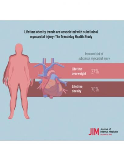 Visuel Journal of Internal Medicine