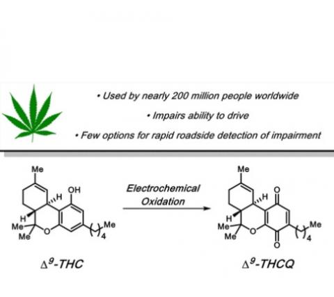 L'oxydation étant la perte d'un électron d'une molécule, les chercheurs ont retiré une molécule d'hydrogène du THC ce qui induit l'oxydation et ce qui entraîne des changements dans la couleur de la molécule qui peut alors être détectée par le test. 