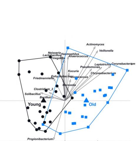 Il existe des variations dans les microbiomes cutanés des femlmes jeunes et plus âgées (Visuel Alkema et al., 2021, PLOS ONE, CC-BY 4.0)