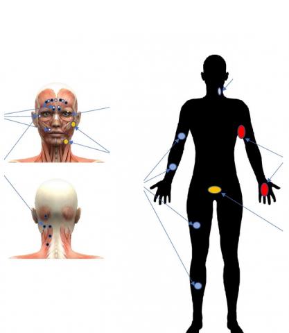 Visuel Scientific Reports Visuel Scientific Reports