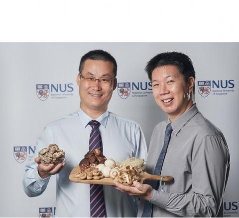 Le professeur adjoint Lei Feng (à gauche) et le chercheur Dr. Irwin Cheah (à droite sur visuel) de la NUS