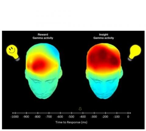 Lors des moments de créativité, l’imagerie montre un sursaut d'ondes cérébrales « gamma » chez tous les participants puis une seconde vague d'ondes gamma environ un dixième de seconde plus tard dans le cortex orbitofrontal, une partie du système de récompense du cerveau, mais uniquement chez les participants sensibles à la récompense. Lors des moments de créativité, l’imagerie montre un sursaut d'ondes cérébrales « gamma » chez tous les participants puis une seconde vague d'ondes gamma environ un dixième de seconde plus tard dans le cortex orbitofrontal, une partie du système de récompense du cerveau, mais uniquement chez les participants sensibles à la récompense.
