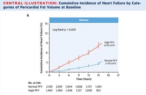 Les femmes présentant des quantités élevées de graisse péricardique encourent un risque multiplié par 2 d’insuffisance cardiaque(Visuel JACC)