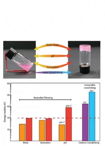 Cet hydrogel combine les avantages des 2 formes, solide et liquide, il peut être transformé de la forme solide à la forme liquide et peut revenir à la forme d’hydrogel solide en moins d'une minute.