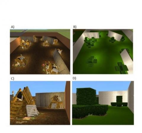 L’équipe a développé des scénarii de réalité virtuelle à l'aide du jeu vidéo virtuel Sims
