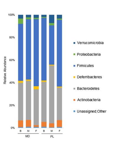 l’équipe constate que le composé polylysine (PL sur visuel) perturbe temporairement la diversité du microbiote intestinal 