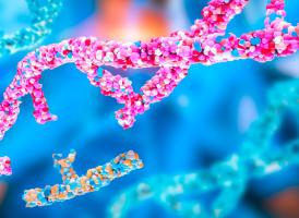 Un nouveau biomarqueur basé sur l'apprentissage automatique permet d’identifier les personnes à risque élevé de cancer du foie (Visuel Adobe Stock 1041264544)