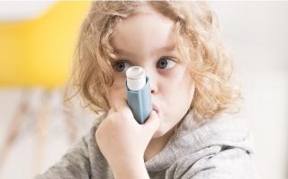 Les enfants qui souffrent d’asthme sont moins susceptibles de réagir aux stéroïdes inhalés s'ils sont en surpoids ou obèses et risquent des crises d'asthme plus fréquentes (Visuel Adobe Stock 113536716)