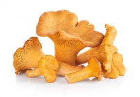 Une consommation plus régulière de champignons est associée à un risque plus faible de cancer (Visuel Adobe Stock 116675066)