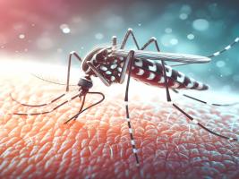 Ces travaux qui couvrent 86 épidémies de chikungunya, aboutissent au plus grand ensemble de données comparatives du genre, et dégagent de grandes tendances de ces épidémies (Visuel Adobe Stock 1178711352)