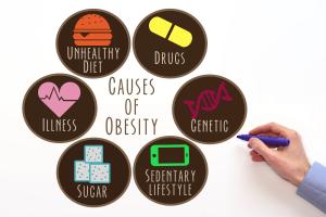 Pourquoi certaines personnes obèses restent relativement en bonne santé, tandis que d'autres souffrent de maladies qui changent leur vie, telles que le diabète de type 2 et les maladies cardiaques (Visuel Adobe Stock 127688326)