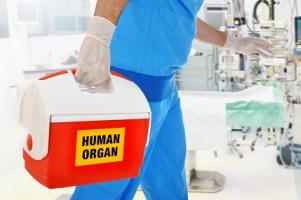 Une nouvelle approche moléculaire permet une meilleure acceptation du greffon tout en préservant le maintien de la capacité de lutter contre les infections.