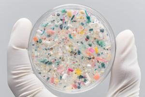 Les fines particules de caoutchouc issues de l’usure des pneus peuvent aussi libérer des substances chimiques toxiques dans les sols et dans les eaux (Visuel Adobe Stock 1454991029) Les fines particules de caoutchouc issues de l’usure des pneus peuvent aussi libérer des substances chimiques toxiques dans les sols et dans les eaux (Visuel Adobe Stock 1454991029)