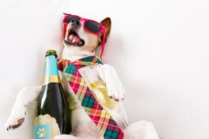 La migraine déclenchée par l'alcool est une « réalité », elle survient rapidement après la consommation de boissons alcoolisées, et selon un mécanisme différent de celui couramment appelé « gueule de bois ». 