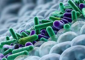L'analyse des interactions entre communautés microbiennes de l'intestin offre un nouveau diagnostic de la santé humaine (Visuel Adobe Stock 1899821666)