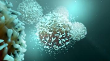 Les cellules immunitaires du liquide céphalo-rachidien (LCR) permettent bien de prédire la réponse à l'immunothérapie (Visuel  Adobe Stock 202780589)