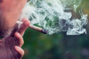 L'étude suggère en effet un lien entre la consommation de cannabis et la prévalence actuelle de l'asthme (Visuel Adobe Stock 226382495)