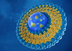 L'otite moyenne aiguë (OMA) est l'une des principales causes de prescription d'antibiotiques oraux chez les enfants (Visuel Adobe Stock 228277001)