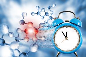 On sait aujourd’hui qu’une horloge déréglée compromet le bon fonctionnement des organes et jusqu’à l’immunité (Visuel Adobe Stock 308086464)