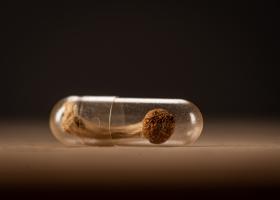 Un traitement par psychédéliques, sous surveillance médicale, pourrait contribuer à gommer certains problèmes de santé mentale chez les personnes atteintes de cancer et de dépendance aux substances, dont l'alcoolodépendance (Visuel Adobe Stock 495815091)
