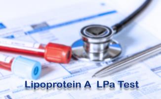 La lipoprotéine A Lp(a), est une glycoprotéine analogue aux lipoprotéines de basse densité (LDL ou « mauvais cholestérol » et ses niveaux ont déjà été corrélés à un risque accru de maladie coronarienne récurrente (Visuel Adobe Stock 498671179)