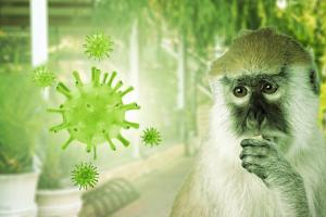 Comment les mutations du monkeypox accélèrent sa réplication et sa propagation  (Visuel Adobe Stock 520927353)