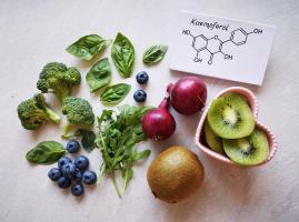 Un flavonoïde en particulier, le kaempférol, confirme un effet anti-inflammatoire remarquable et, au-delà, une capacité à réguler la réponse immunitaire excessive observée dans les allergies (Visuel Adobe Stock 530339727)