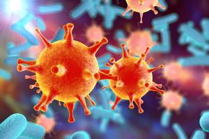 La recherche suggère le potentiel d’un probiotique, ou de métabolites liés à ces bactéries qui pourraient amplifier l’efficacité des immunothérapies (Visuel Adobe Stock 91414528)