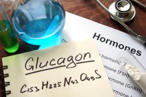 Les agonistes des récepteurs du GLP-1 sont, entre autres avantages, associés à des risques plus faibles de certains cancers associés à l'obésité par rapport aux insulines (Visuel Adobe Stock 94597676)