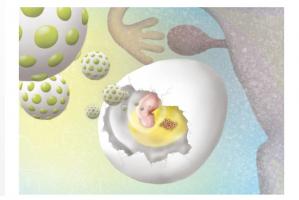 Des tumeurs qui ont pu être répliquées à l'intérieur d’œufs de poule ce qui offre un nouveau terrain d’étude de la tumeur