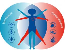 Ces experts appellent à travailler de manière urgente à réduire le fardeau mondial des maladies cardiovasculaires chez les femmes (Visuel The Lancet)