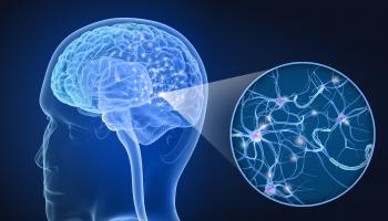 La colle cérébrale protège contre la perte de tissu cérébral après une blessure ou un trauma cérébral grave, mais contribue également à la réparation neuronale fonctionnelle (Visuel Adobe Stock 206037348)