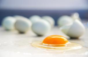 L’étude corrige également l’image diététique des œufs en accord avec les recherches récentes ayant démontré l'impact négligeable du cholestérol alimentaire sur le cholestérol sanguin. (Visuel Fotolia)