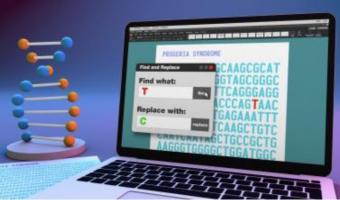La progéria, une maladie génétique rare qui affecte les enfants d'un vieillissement accéléré a peut-être trouvé son traitement avec cette nouvelle méthode d'édition du génome (Visuel Ernesto del Aguila III, NHGRI). 