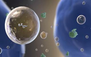 Il s’agit de petites particules appelées exosomes qui sont de petites vésicules (bulles) produites à l'intérieur des cellules, puis relâchées (Visuel NIH)