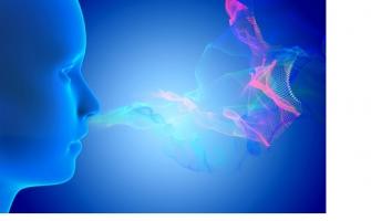Un test cognitif associé à un test olfactif permet de prédire l’absence de transition vers la démence pour plusieurs années.