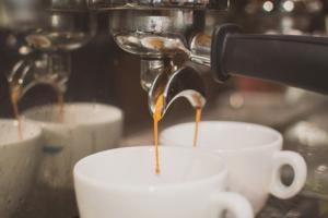 a machine à café capable de créer les conditions idéales pour que des champignons « Fungus » se développent ?