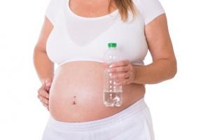 L'exposition même à de faibles niveaux de BPA pendant la grossesse peut entraîner une altération du développement cérébral