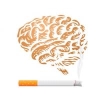 « Cette variante affecte la quantité de formation d'un récepteur de la nicotine dans le cerveau » 