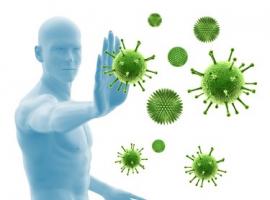 Ce nouveau traitement d'immunothérapie cible les infections virales respiratoires (Visuel Fotolia 48398784)