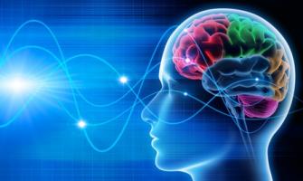 Il existe peu d’études sur le recours à la stimulation cérébrale dans le traitement de la maladie d’Alzheimer (Visuel Fotolia 73243812)