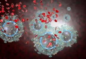 Le VIH se cache dans des cellules spécifiques du système immunitaire, les cellules T CD4, qui hébergent le virus et forment des réservoirs viraux dans divers tissus périphériques, en particulier dans le tractus gastro-intestinal. 
