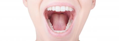 Ce grincement ou le serrement involontaire et plus fréquemment nocturne des dents, le « bruxisme » peut entraîner des conséquences sévères, jusqu’à endommager les articulations temporo-mandibulaires et induire des douleurs et des maux de tête (Visuel Adobe Stock 1248787499)