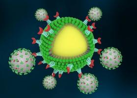 Ces « nanotraps » ou nano-pièges, conçus sous forme de nanoparticules, se lient et capturent les virus dans le corps, puis utilisent le propre système immunitaire du corps pour les détruire (Visuel Huang Lab)