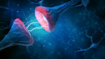 L'étude suggère de traiter les synapses pour prévenir et atténuer les symptômes de la maladie à prions comme la maladie de Creutzfeldt-Jakob (Visuel Adobe Stock 287514101)