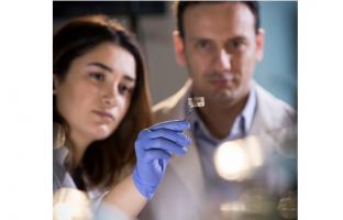 Ces chercheurs ingénieurs et chimistes de l’Université McMaster présentent un patch transparent capable de détecter les menaces alimentaires. 