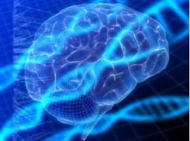 L'autisme associé à moins de biais cognitif dans la prise de décision, qu’en population générale